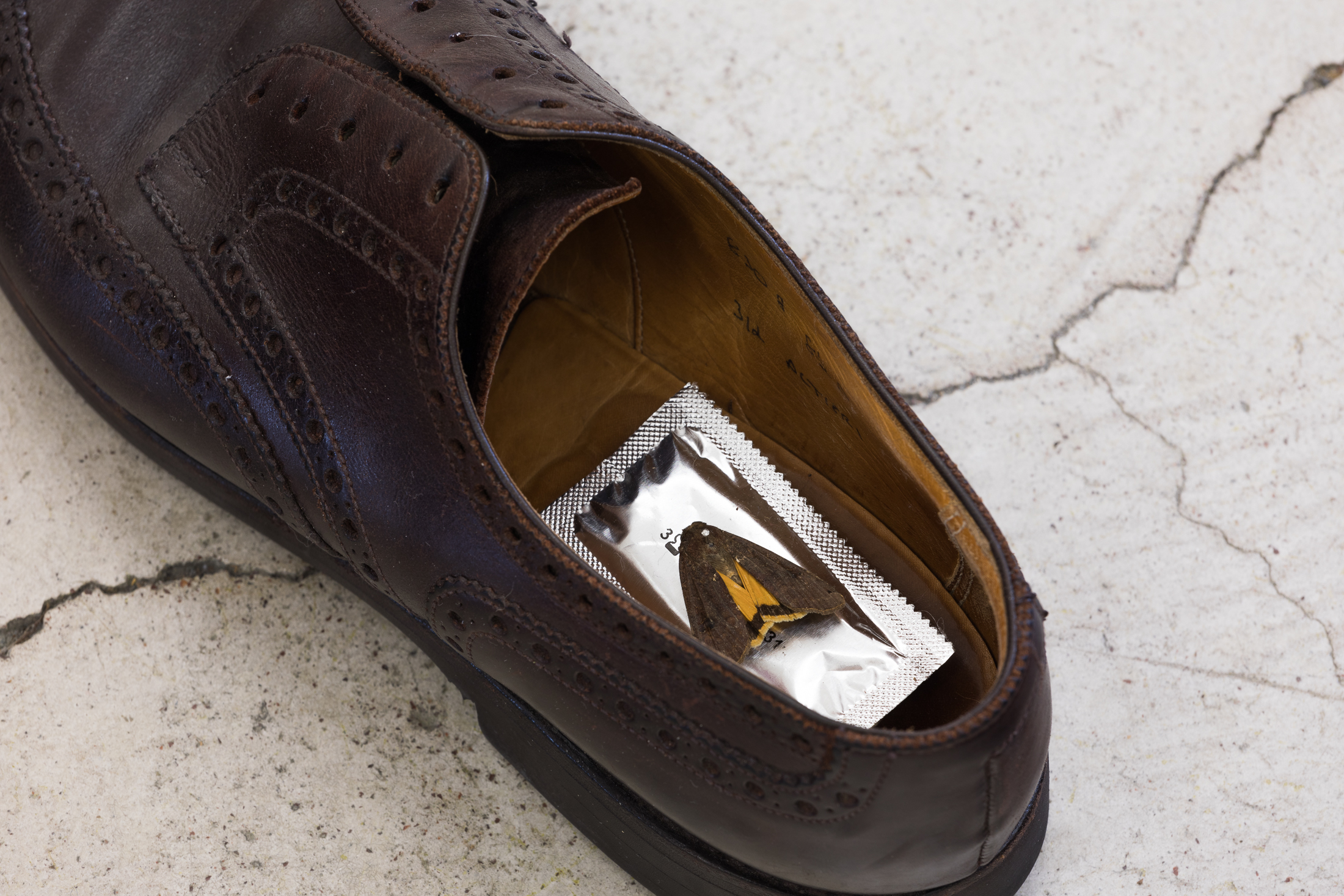 2021 09 Real Life Shoes, Atelierhaus Klingental, Basel — Paul Barsch — Jeronim Horvat